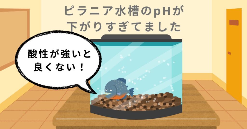 ピラニア水槽のpHが下がりすぎてました