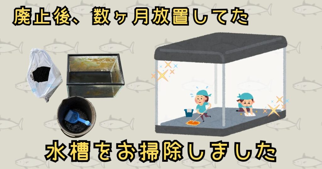 廃止後数ヶ月放置してた水槽をお掃除しました